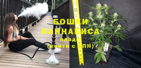 2c-b Инсар