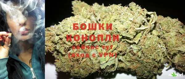2c-b Инсар
