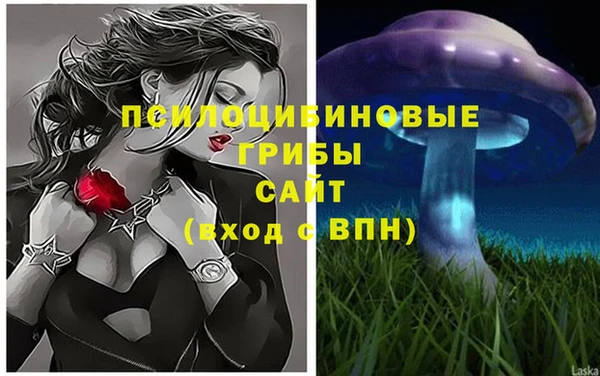 2c-b Инсар