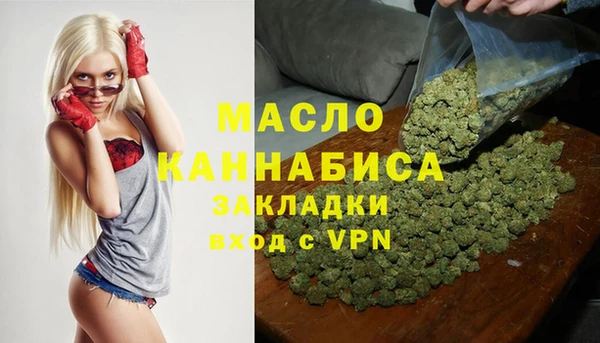 2c-b Инсар