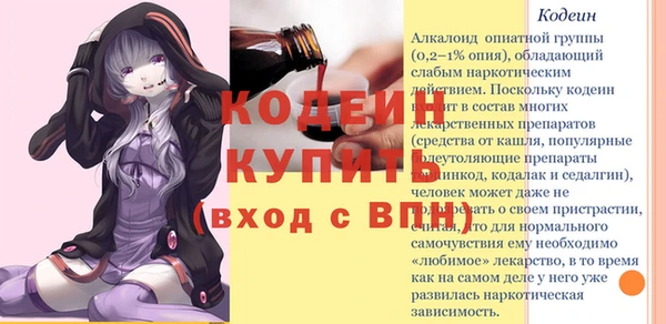 2c-b Инсар