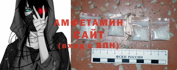 2c-b Инсар