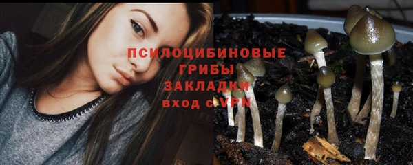 кокс Инта