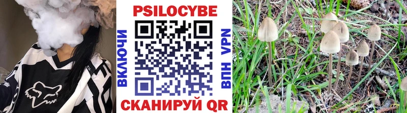 Галлюциногенные грибы Psilocybine cubensis  Купить  Гусь-Хрустальный 